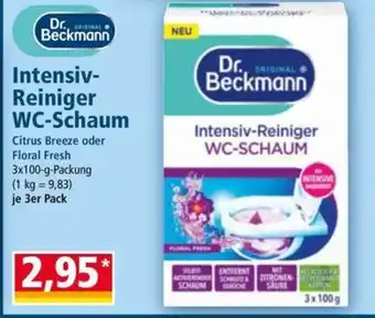 Norma Intensiv- reiniger wc-schaum Angebot