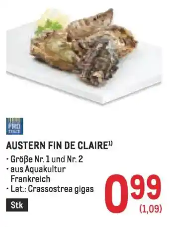 Metro Austern fin de claire Angebot