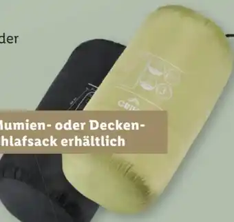 Lidl Crivit Schlafsack Angebot