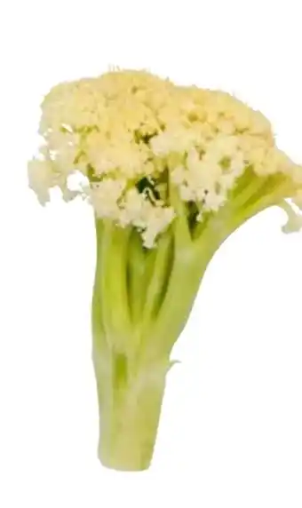 Transgourmet KLH Wilder Blumenkohl Angebot