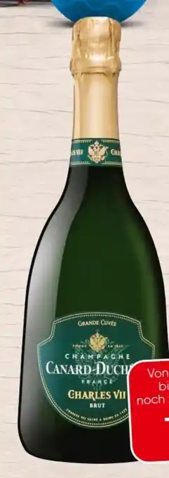Spar Canard Duchene Charles VII Champagne Brut Angebot