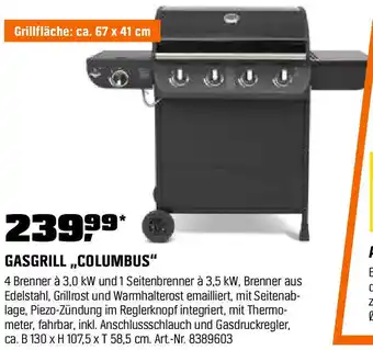OBI Gasgrill columbus Angebot
