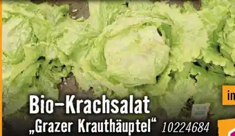 Hornbach Bio-Krachsalat Angebot