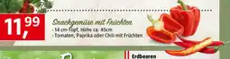 Bauhaus Piardino Peperoni Angebot
