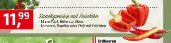 Bauhaus Piardino Peperoni Angebot