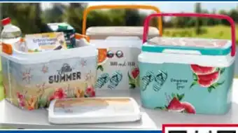 Norma Casa Royale Kühlbox Angebot