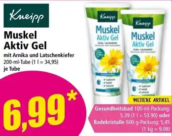 Norma Muskel Aktiv Gel Angebot