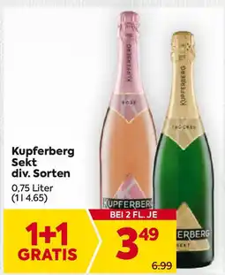 Billa Kupferberg Angebot