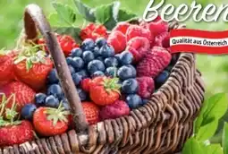 Bauhaus Beerenobst Angebot