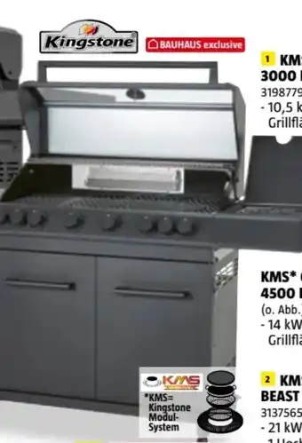 Bauhaus Kingstone KMS Gasgrill Cliff 6500 Beast Angebot