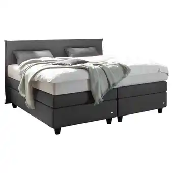 XXXLutz Boxspringbett 200/200 cm in Anthrazit, Schwarz Angebot