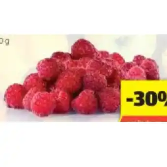 Hofer Himbeeren HOFER Angebot