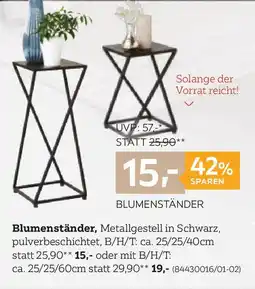 XXXLutz Blumenständer Angebot