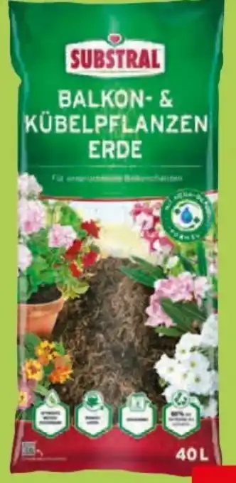 Hagebau Substral Balkon-Kübelpflanzen Angebot