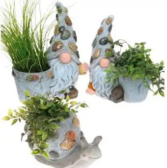 Hagebau Schneckenpflanzer Angebot
