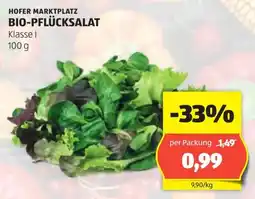 Hofer Hofer Marktplatz Bio-Pflücksalat Angebot