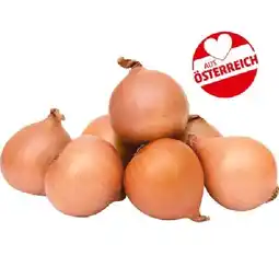 PENNY Zwiebeln, gelb Penny Angebot