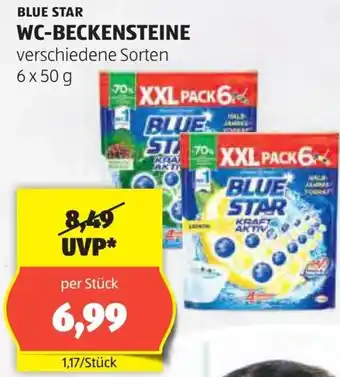 Hofer Wc-beckensteine Angebot
