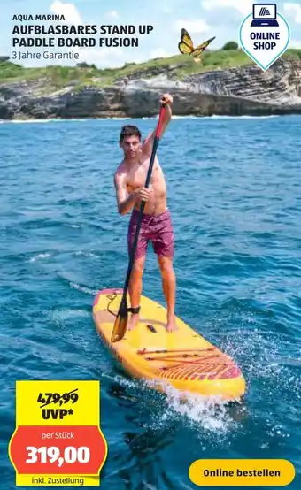 Hofer Aufblasbares stand up paddle board fusion Angebot