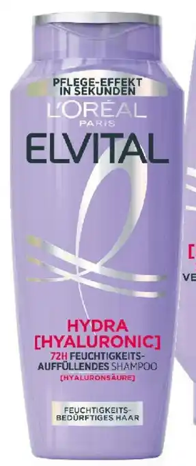 dm Shampoo Angebot