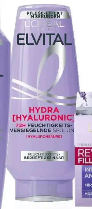 dm Spülung Angebot