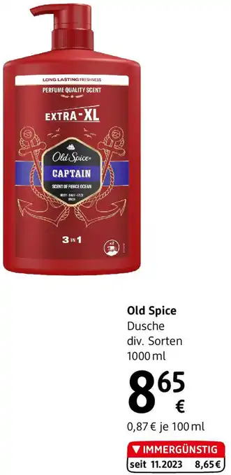 dm Dusche Angebot