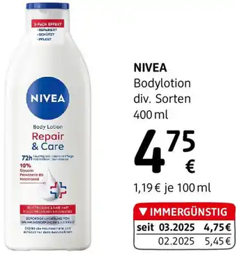 dm Body Lotion Angebot