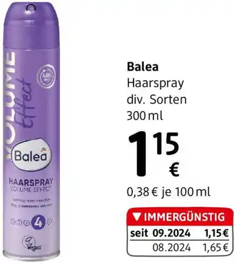 dm Haarspray Angebot