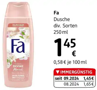 dm Dusche Angebot