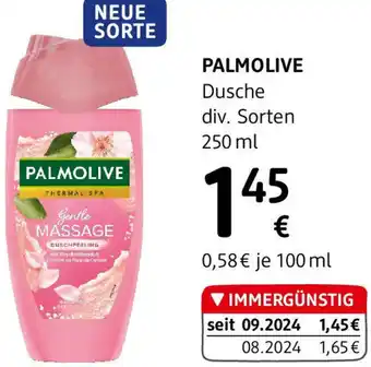 dm Dusche Angebot