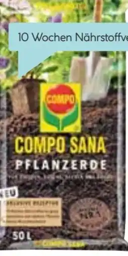 Hellweg Compo Sana Pflanzerde Angebot