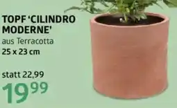 Bellaflora Topf'cilindro moderne Angebot