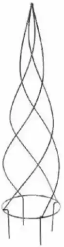 Bellaflora Rankkegel spiral/moose Angebot