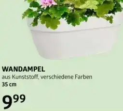 Bellaflora Wandampel Angebot