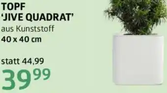 Bellaflora Topf jive quadrat Angebot