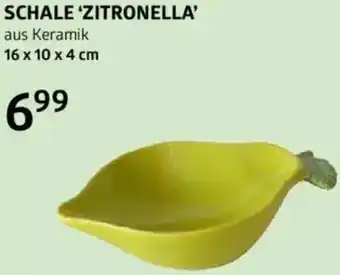 Bellaflora Schale zitronella Angebot