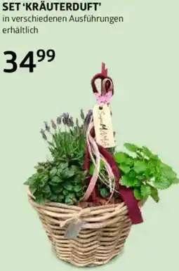 Bellaflora Set kräuterduft Angebot