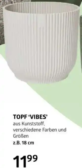 Bellaflora Topf vibes Angebot
