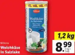 Lidl Weichkäse Angebot