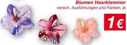 KiK Blumen Haarklammer Angebot