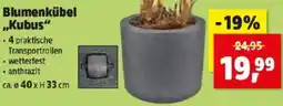 Thomas Philipps Blumenkübel Kubus Angebot