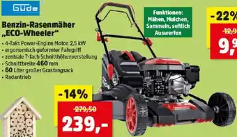 Thomas Philipps Benzin-Rasenmäher ECO-Wheeler Angebot