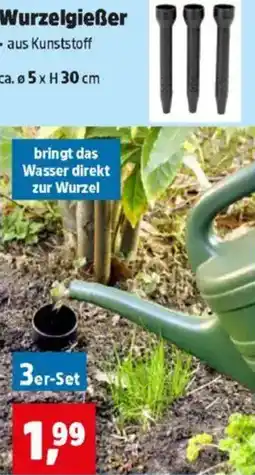 Thomas Philipps Wurzelgießer Angebot