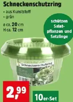 Thomas Philipps Schneckenschutzring Angebot
