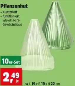 Thomas Philipps Pflanzenhut Angebot