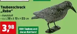 Thomas Philipps Taubenschreck Rabe Angebot