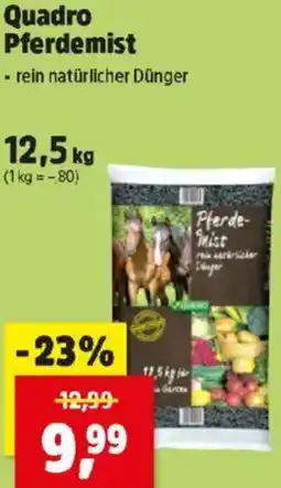 Thomas Philipps Quadro Pferdemist Angebot