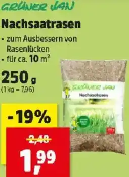 Thomas Philipps Nachsaatrasen Angebot