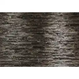XXXLutz Fototapete 368/254 cm Angebot