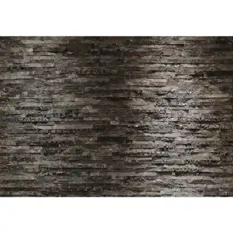 XXXLutz Fototapete 368/254 cm Angebot